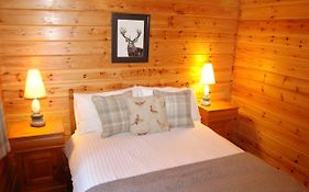 Cosy Rowan Woodland Lodge No3